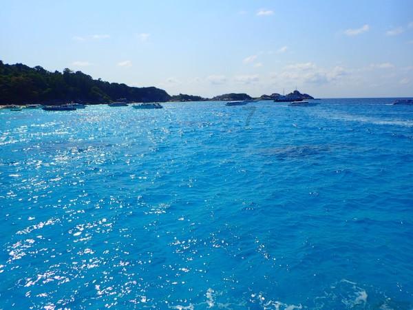 缤纷水果茶