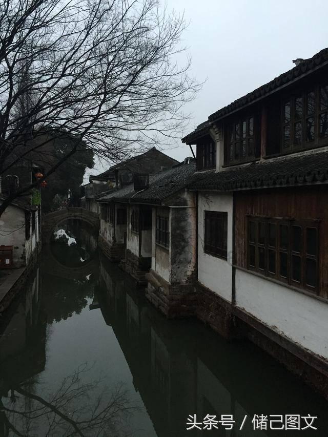 小兔子大冒险