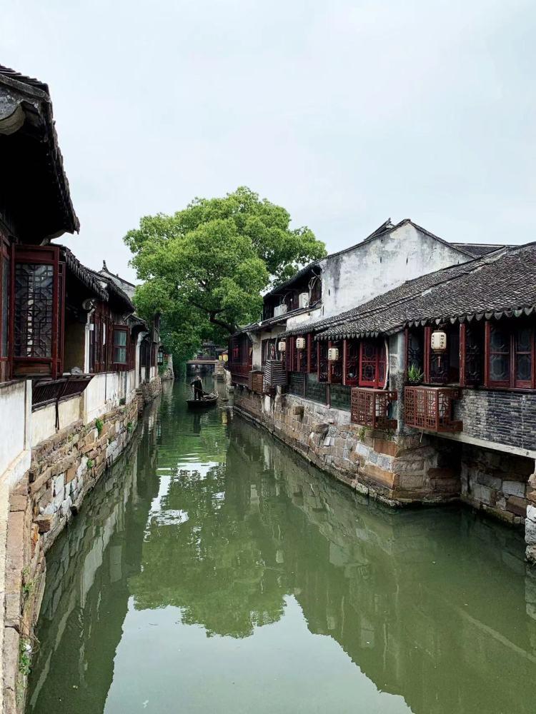 百千万工程|共建绿美石碣——我镇持续开展爱绿护绿河道清洁活动